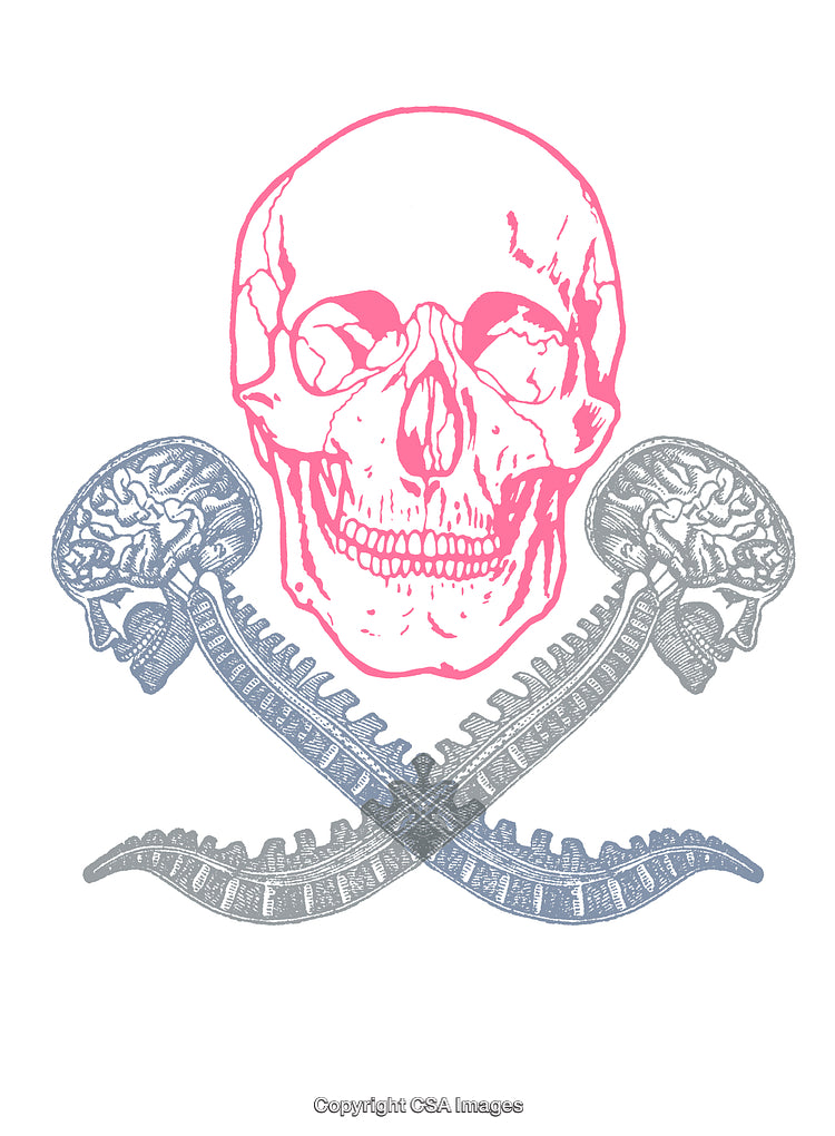 Colorful Anatomical Skull and Spine Illustration with Crossed Bones