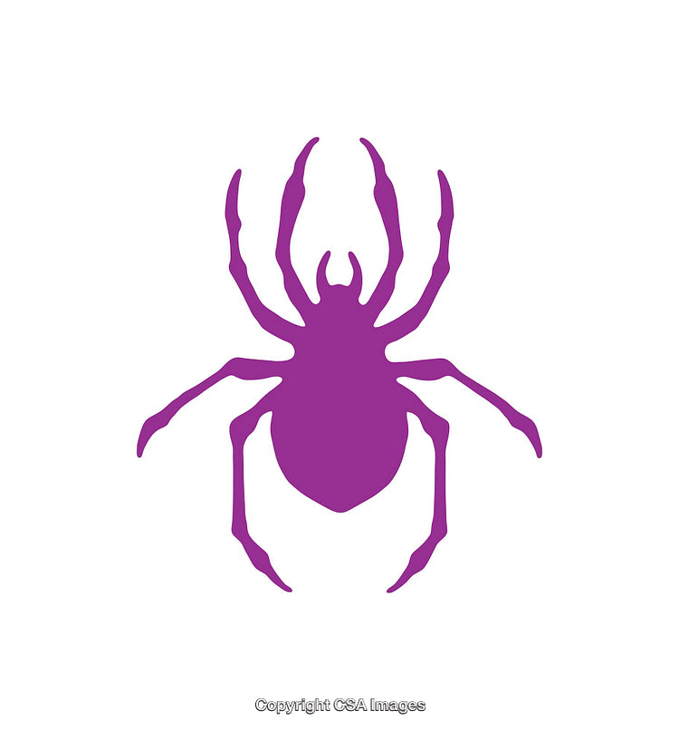 Purple Spider Icon Design Isolated on Clean White Background