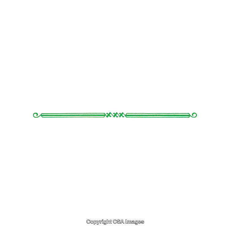 Decorative Green Ornamental Divider Line with Curled Ends on White Background