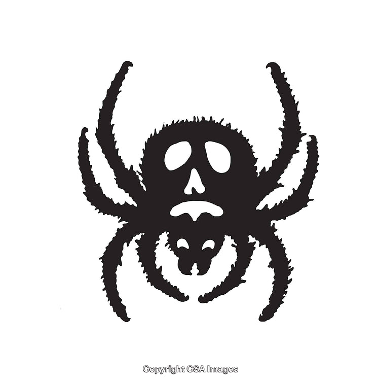 Black And White Spider Illustration with Skull-Inspired Markings