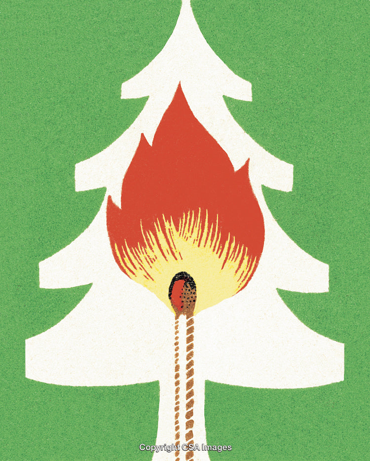 Forest Fire