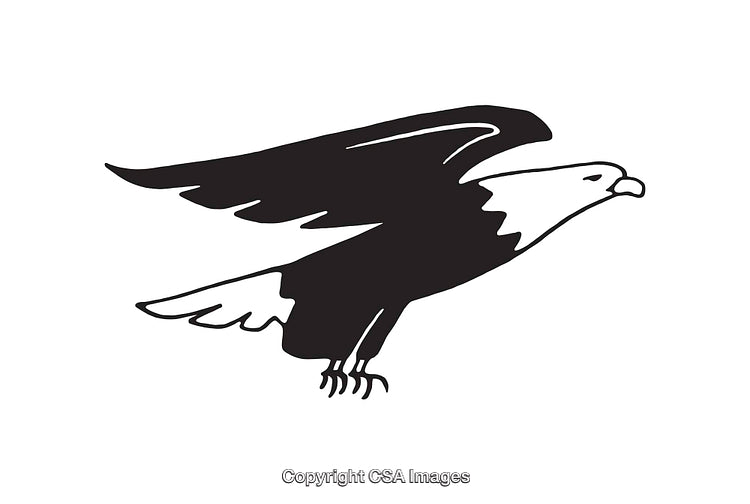 Black and White Line Art of an Eagle in Flight