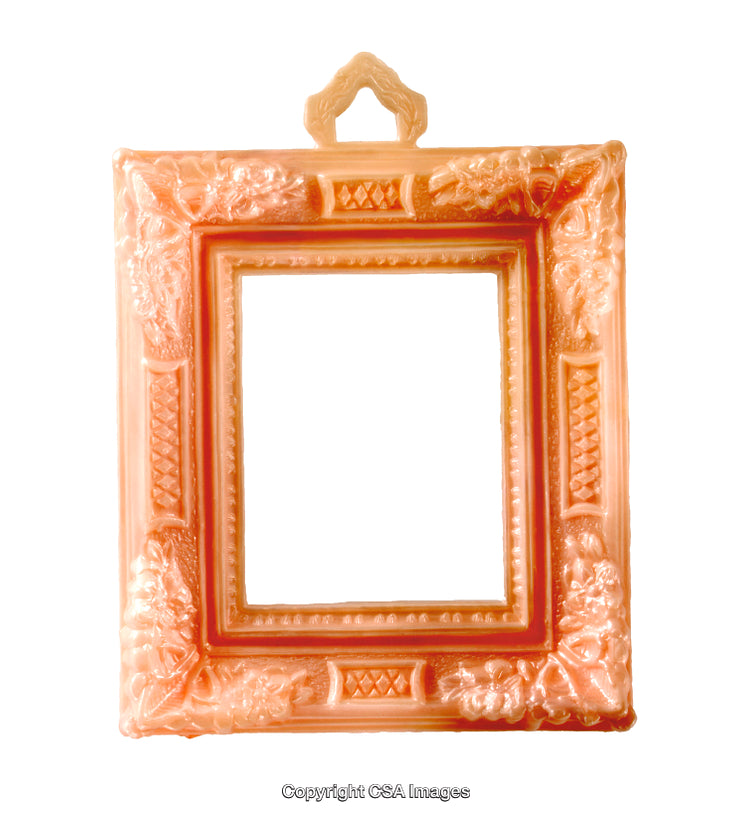 Decorative Ornate Picture Frame With Elegant Floral Designs in Orange