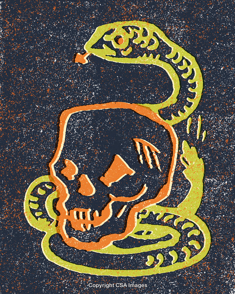 Abstract Art of Skull and Snake in Intricate Design with Bold Colors