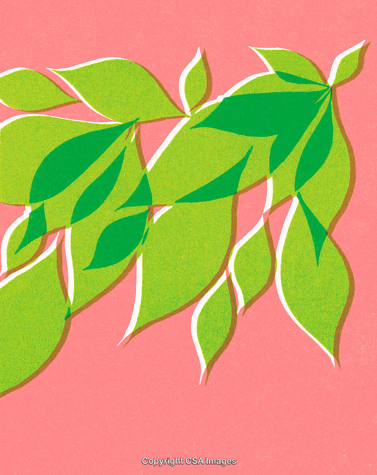 Vibrant Green Leaves Illustration on Bright Pink Background