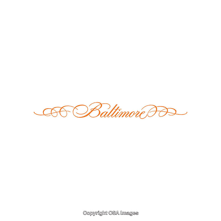 Elegant Baltimore Text Design with Ornamental Flourishes in Orange