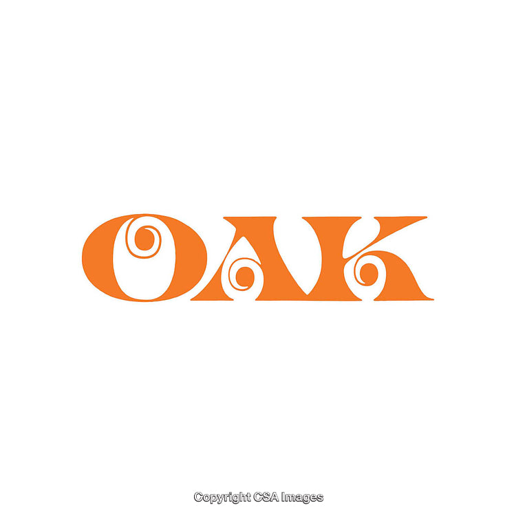 Stylized Orange Word Art Featuring Decorative Spiral Elements