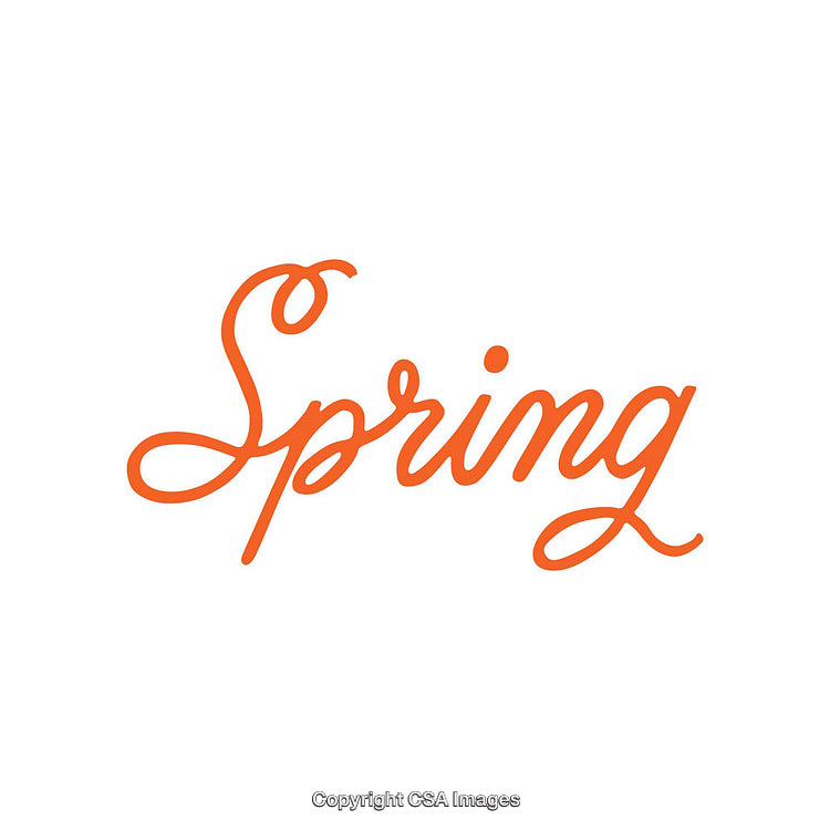 Orange Spring Typography with Elegant Cursive Design on White Background
