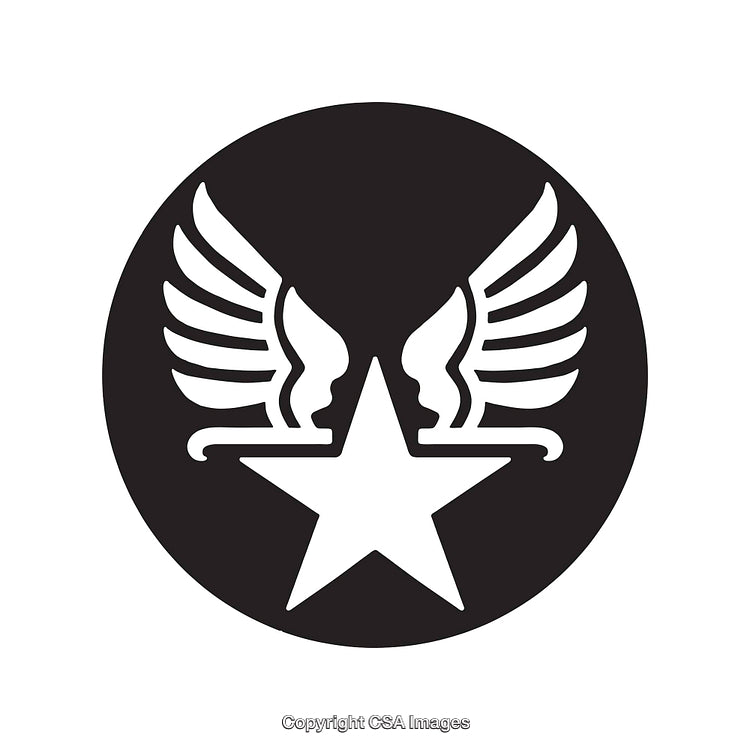 Black and White Winged Star Emblem in Circular Design