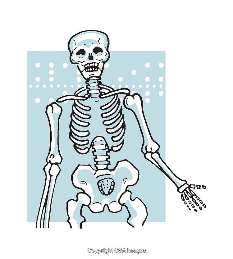 Whimsical Illustration of a Human Skeleton With Unique Artistic Style