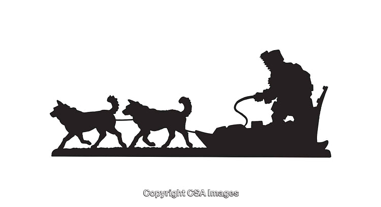 Silhouette of a Dog Sled Team and Driver in Motion