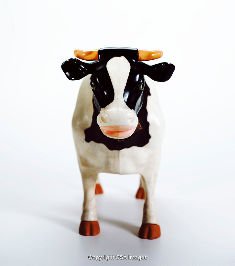 Close-Up View of a Plastic Cow Figurine on White Background