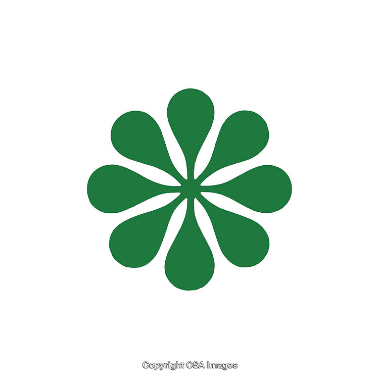 Green Petal-Shaped Dingbat Design on White Background