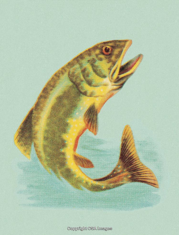 Vintage Illustration of a Colorful Fish in a Dynamic Pose on Blue Background