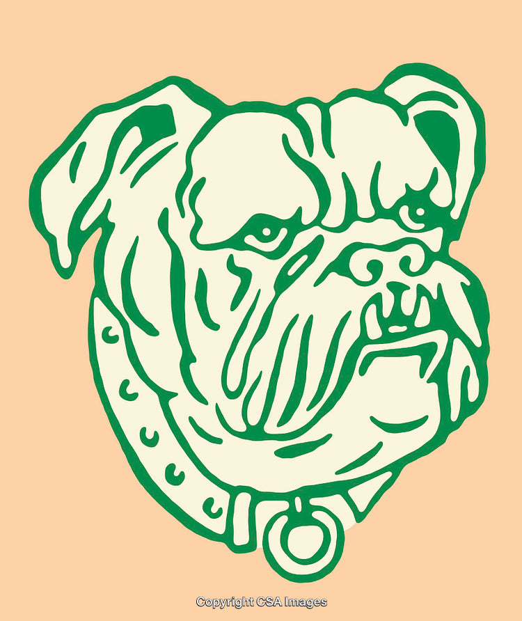 Colorful Line Art Illustration of a Bulldog in Green and Beige