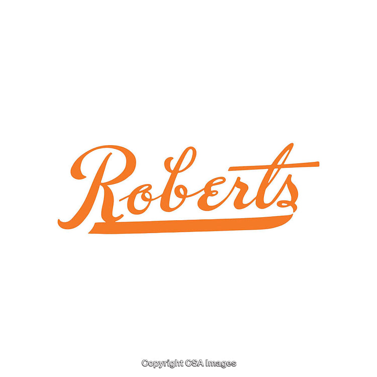 Elegant Orange Script Text Logo on Minimal White Background
