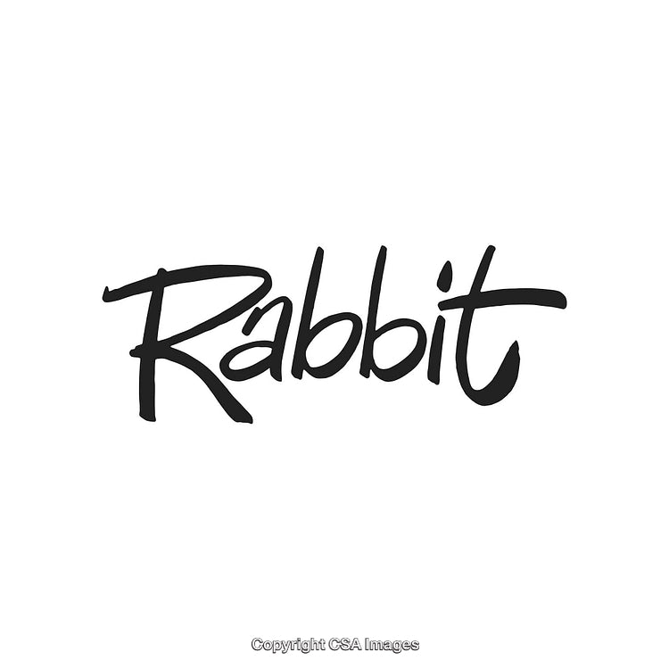 Stylish Modern Handwritten Text Logo for Branding and Design