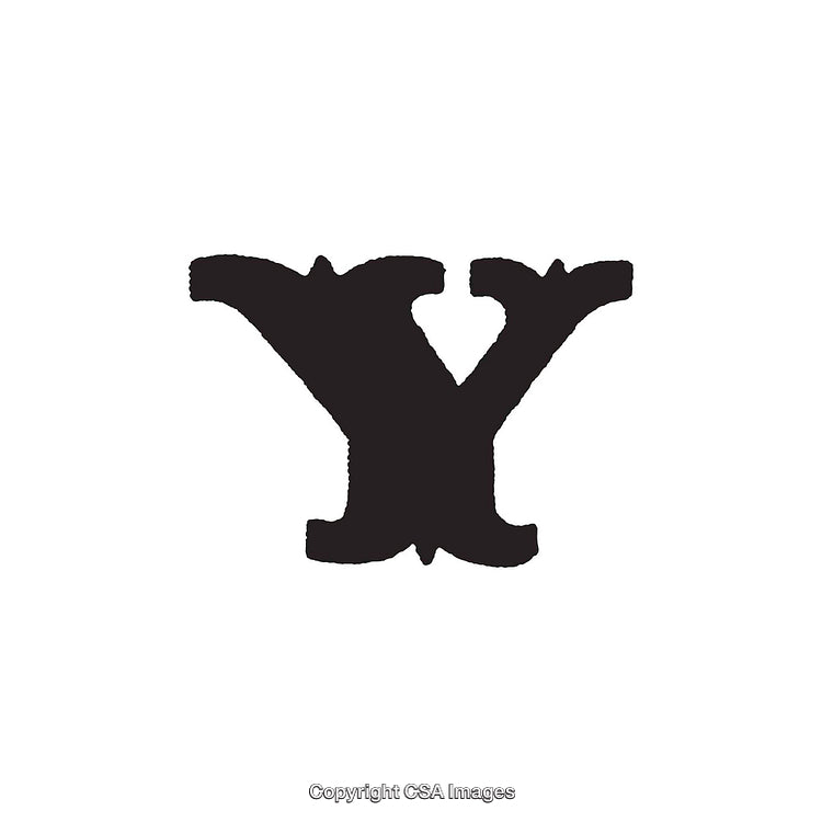 Vintage Stylized Letter Y Isolated on White Background