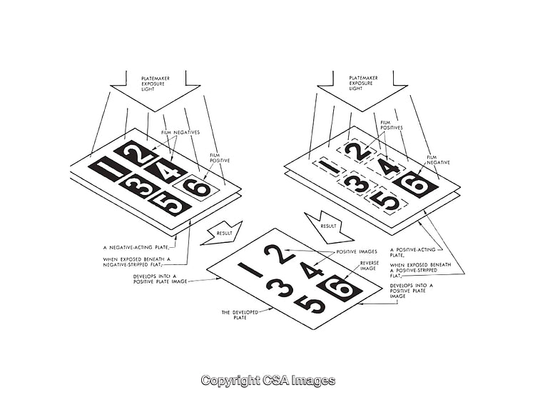 Detailed Black and White Diagram of Plate and Negative Processing Techniques