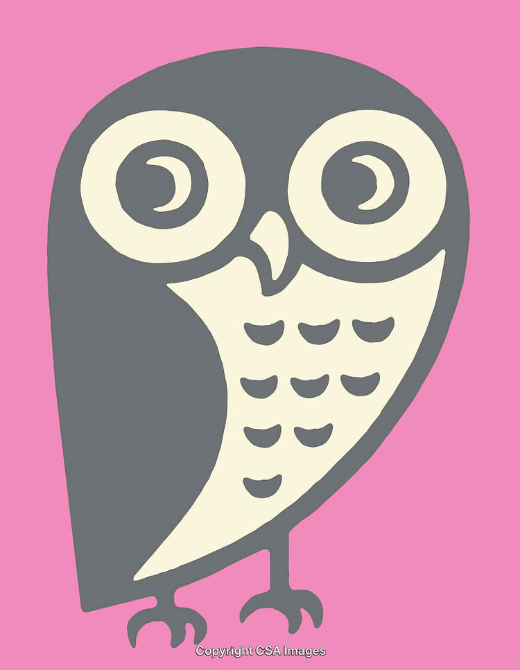 Colorful Owl Illustration with Pink Background and Minimalist Art Style