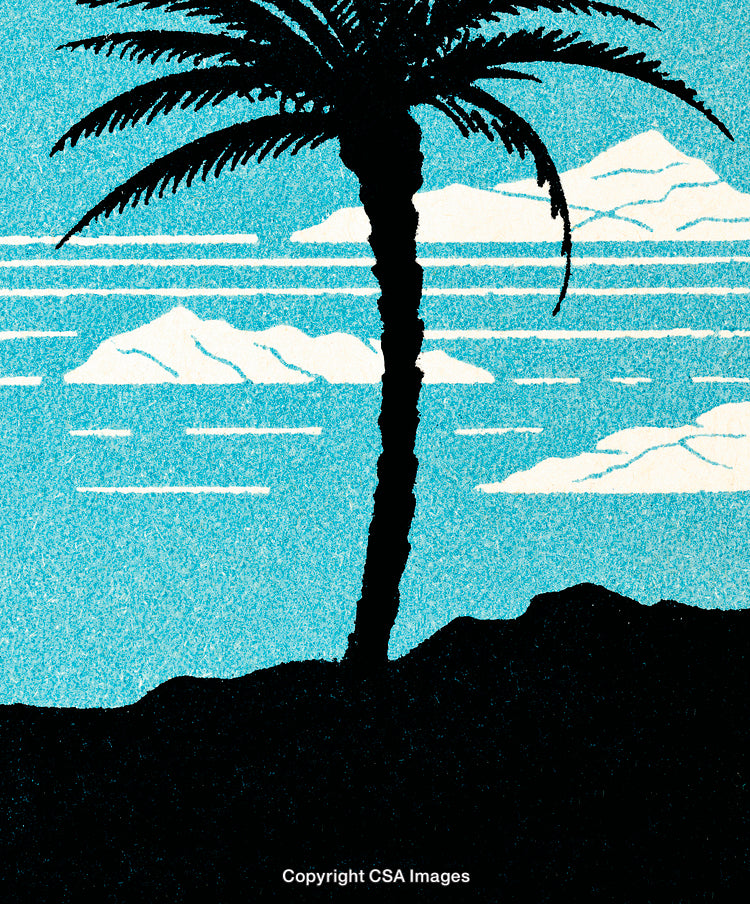 Silhouette of Palm Tree Against Blue Sky and White Clouds