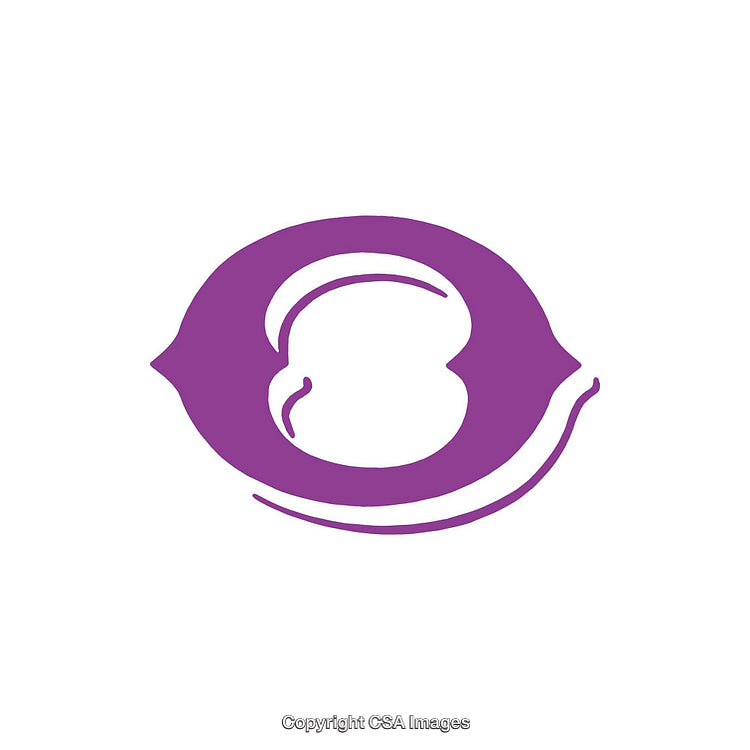 Bold Purple Minimalistic Representation of the Letter O with Creative Design