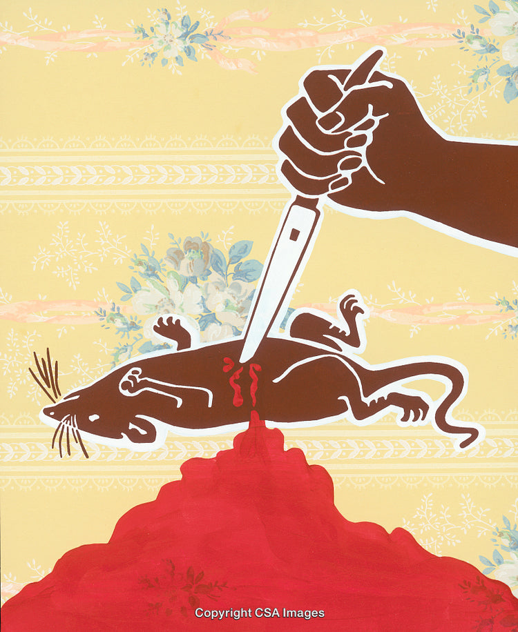 Conceptual Illustration of a Hand Stabbing A Rat With a Knife