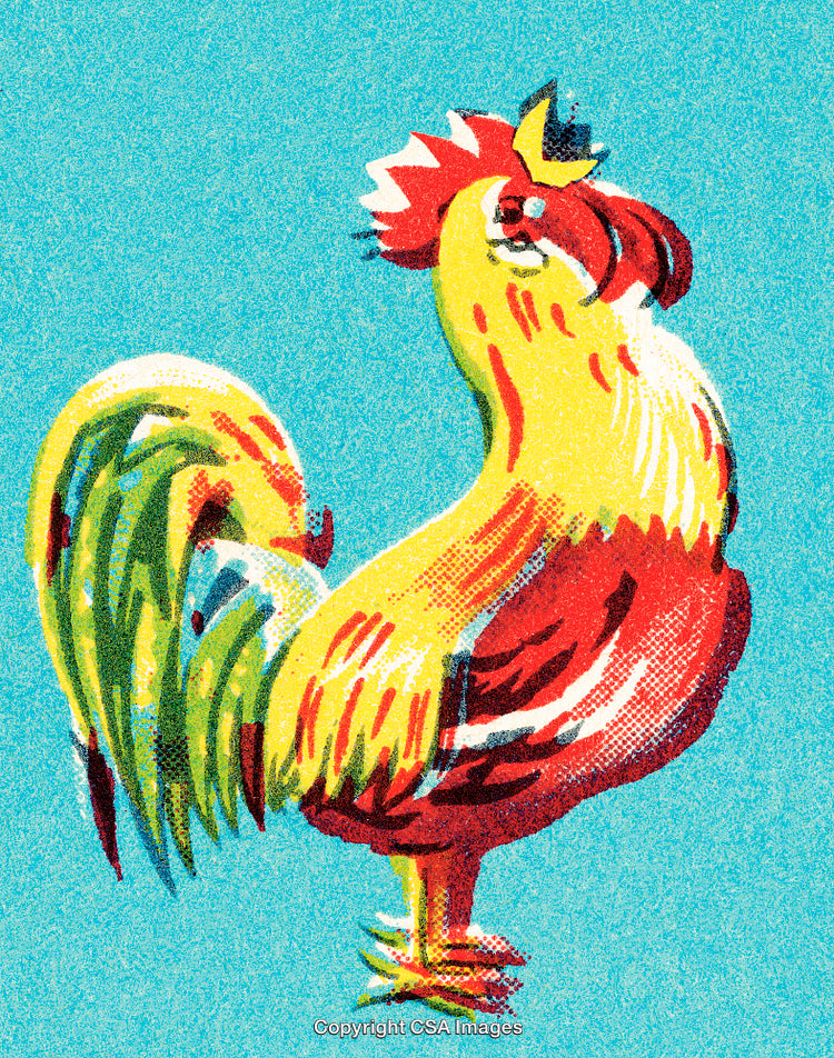 Vibrant Rooster Illustration with Blue Background in Vintage Style