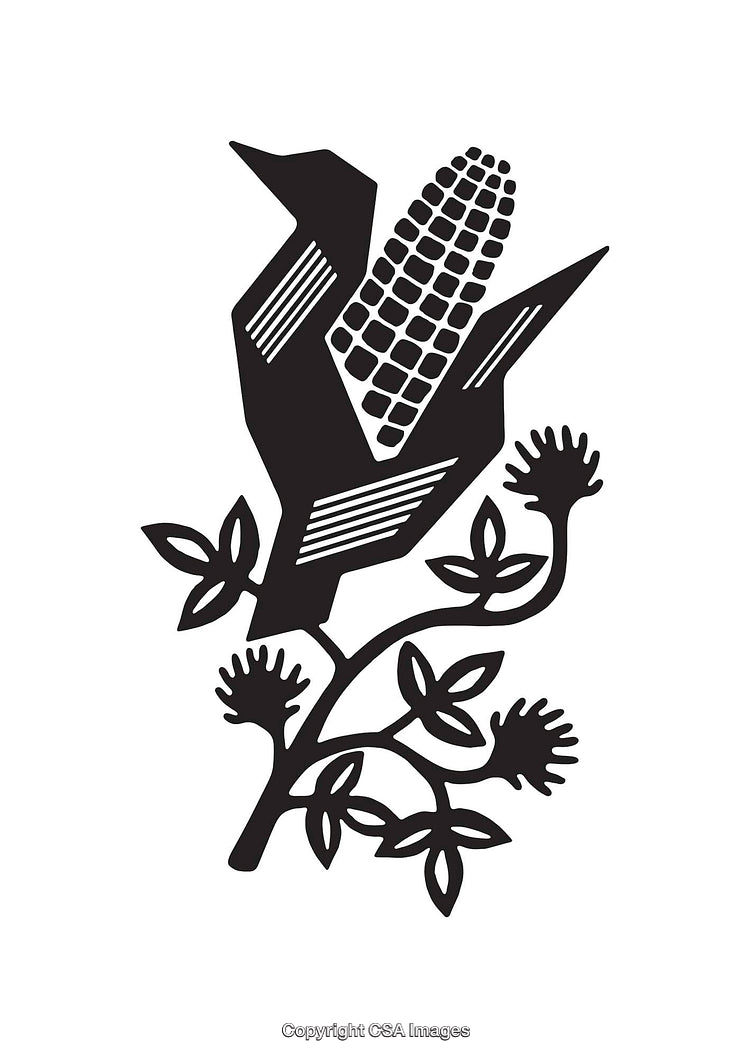 Black And White Stylized Corn and Leaves Line Art Illustration