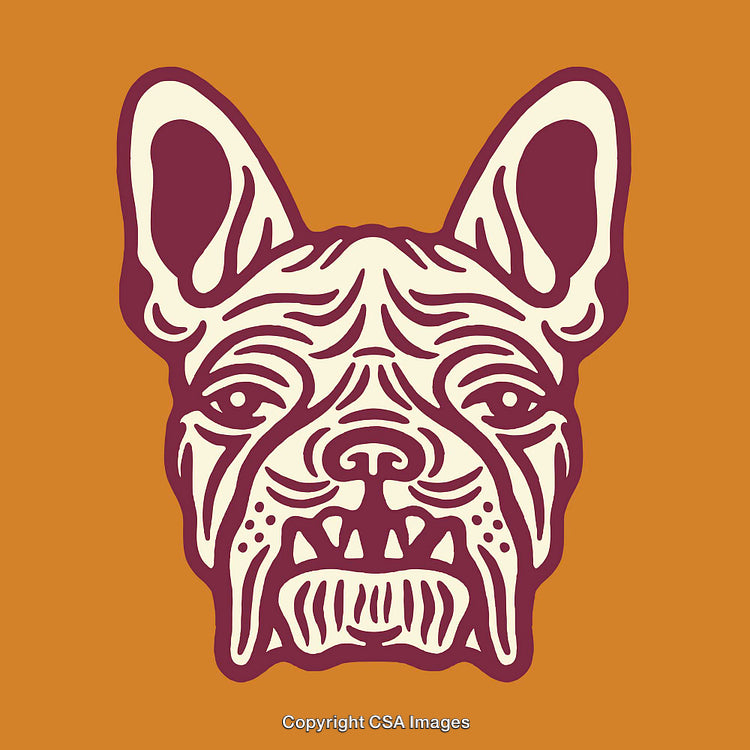 Artistic Line Art Illustration of Bulldog Face in Vibrant Colors