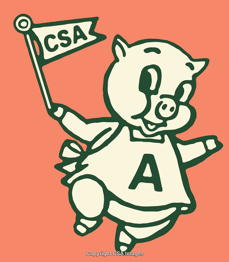 Vintage Style Illustrated Pig Character Holding CSA Banner
