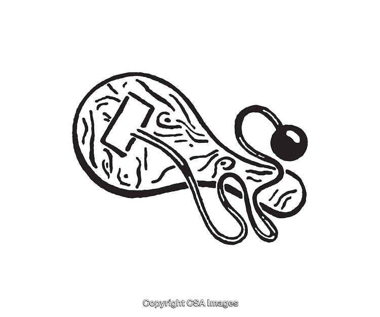 Black and White Abstract Line Art Illustration with Organic Design Elements