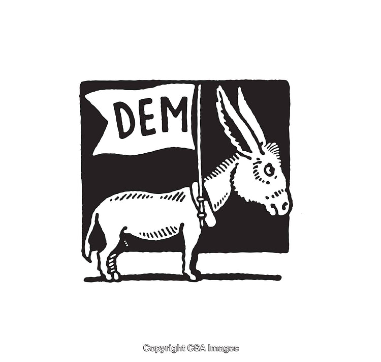Black and White Line Art of Donkey Holding Democratic Party Flag