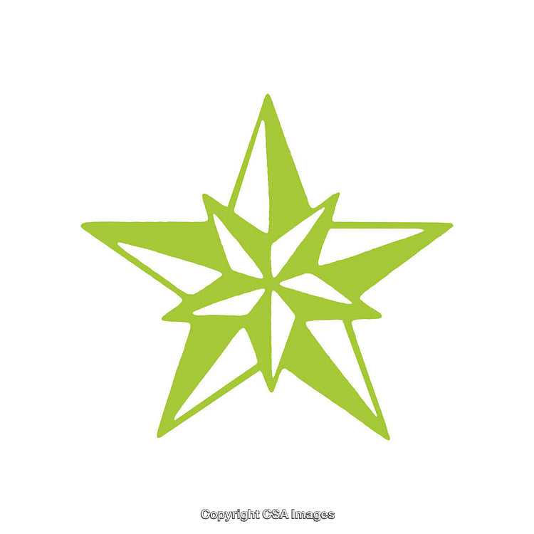Geometric Green Star Design Isolated on White Background