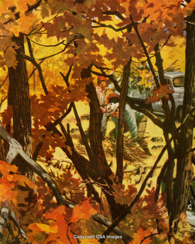 Autumn Forest Scene with Colorful Foliage and Two People Working Outdoors