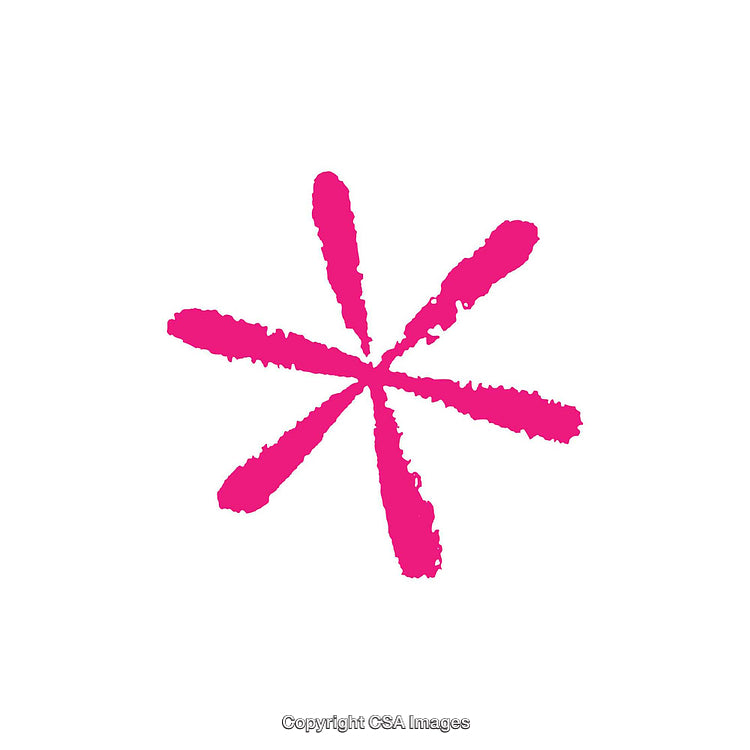 Pink Abstract Asterisk Shape on a White Background