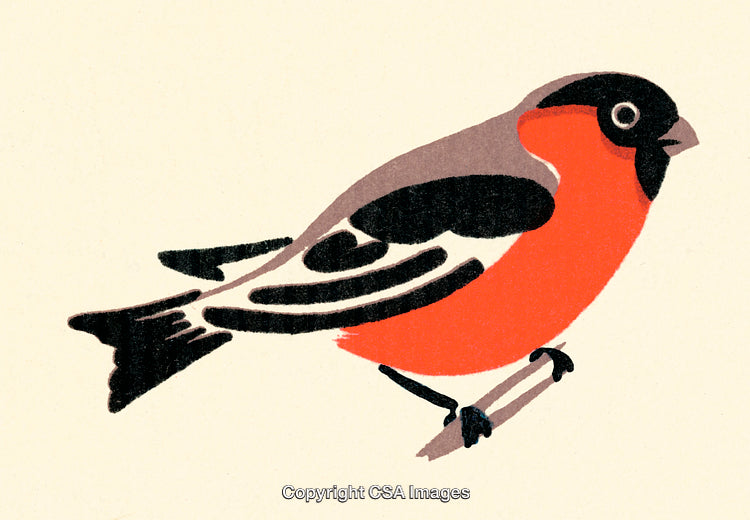 Illustrated Bright Red and Black Bird in Flat Design Artwork