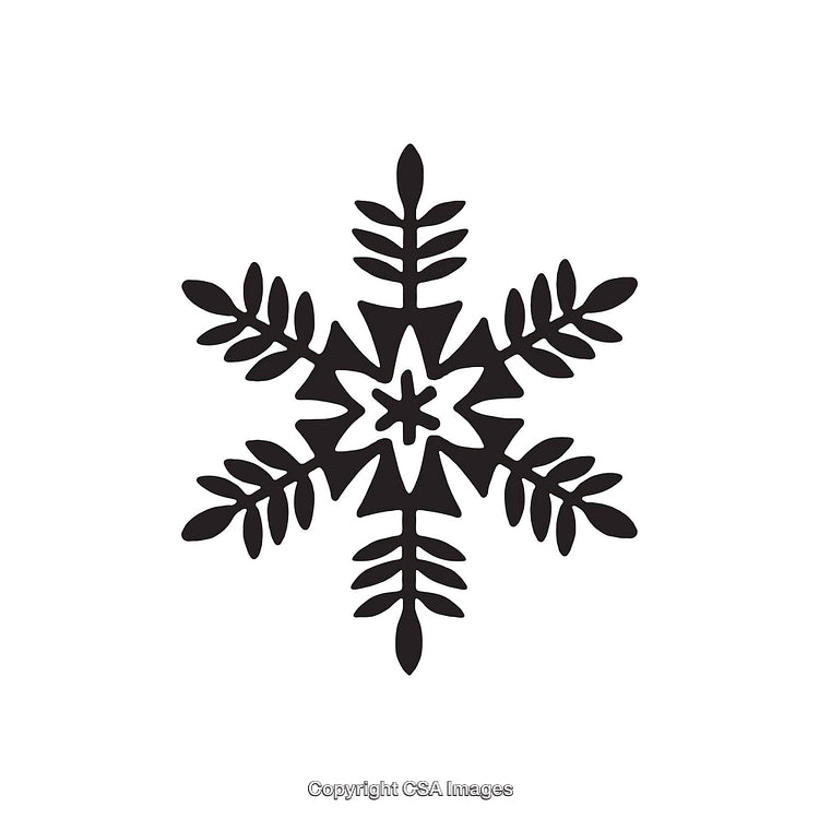 Black and White Decorative Snowflake Dingbat Design on White