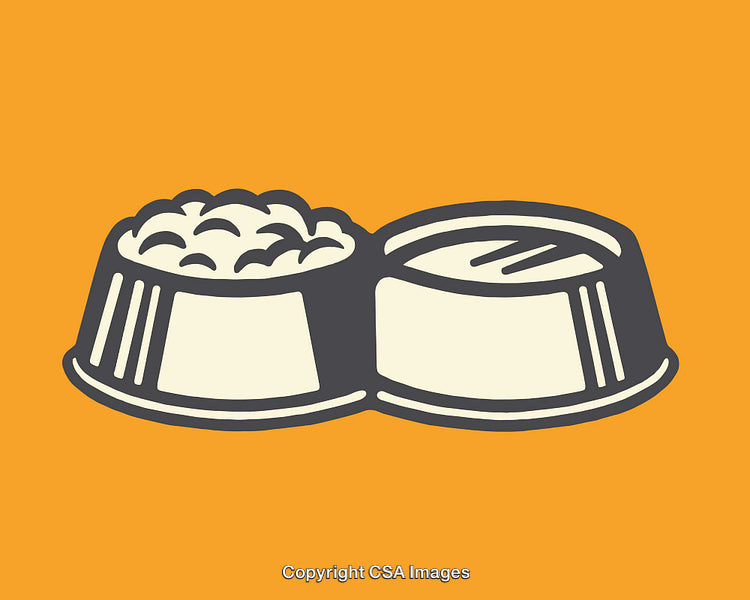 Illustration of a Double Pet Bowl on a Bright Orange Background