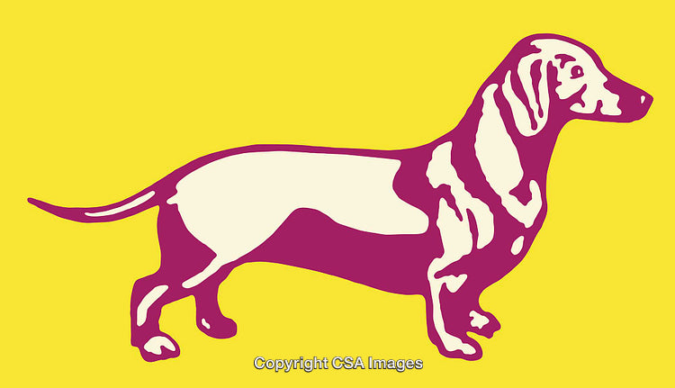 Colorful Silhouette Illustration of a Dachshund Dog on a Bright Yellow Background