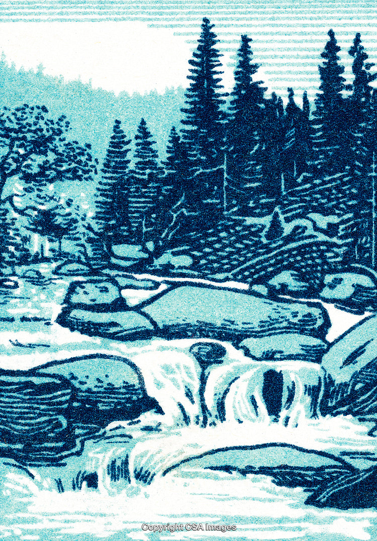 Scenic Illustration of a Mountain Stream Through Forested Landscape