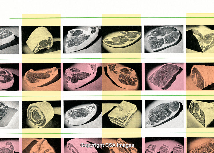 Colorful Illustrated Collage of Various Meat Cuts in Artistic Layout