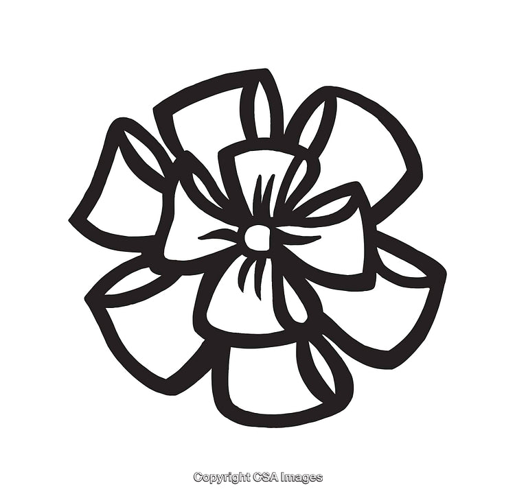 Black and White Hand-Drawn Flower Line Art Illustration for Designs