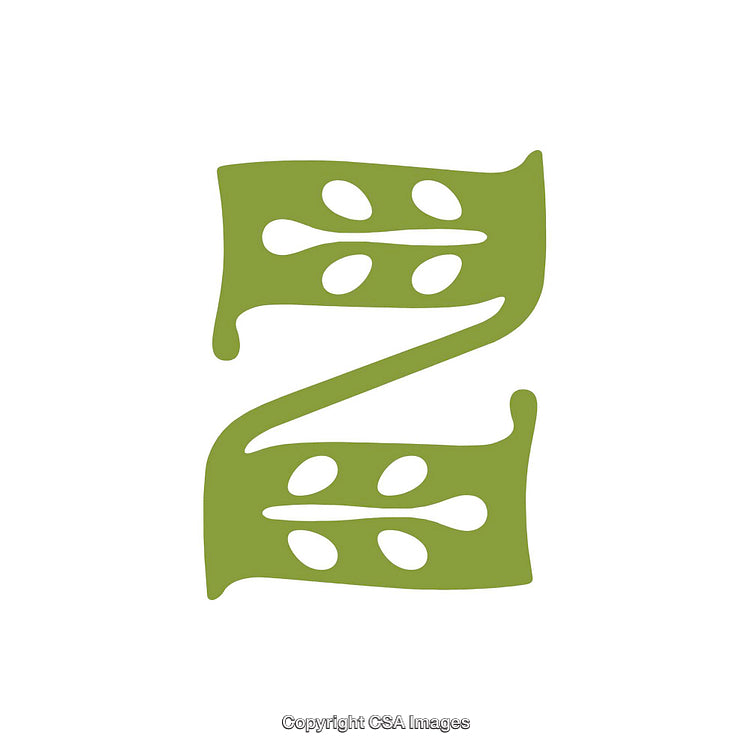 Green Letter Z with Decorative Leaf Motif Design on White Background