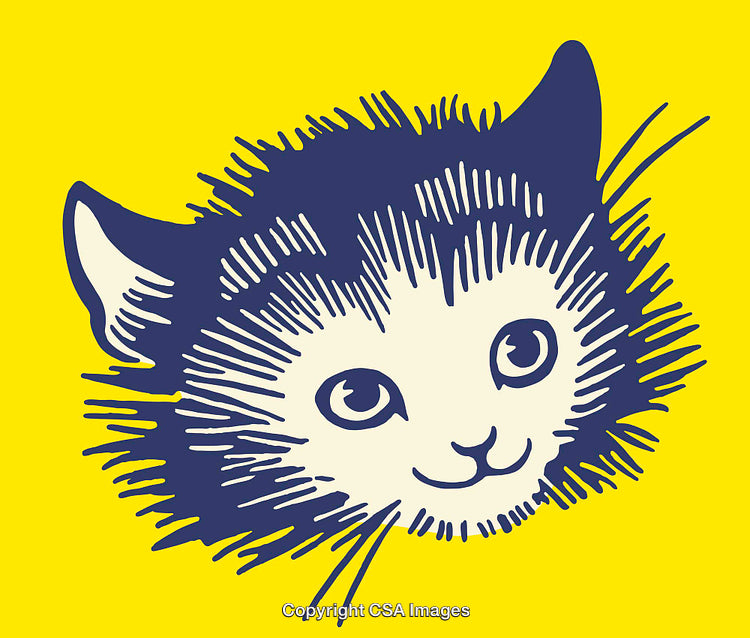Colorful Line Art Illustration of a Happy Cat on Yellow Background