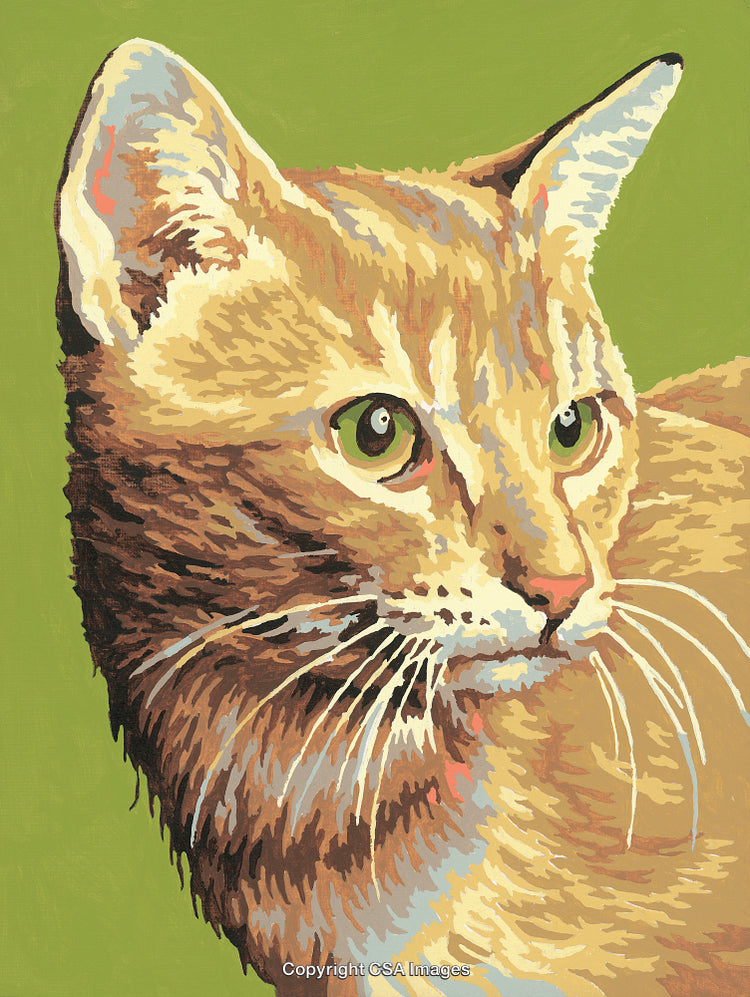 Colorful Illustration of a Cat in Paint by Number Style Art