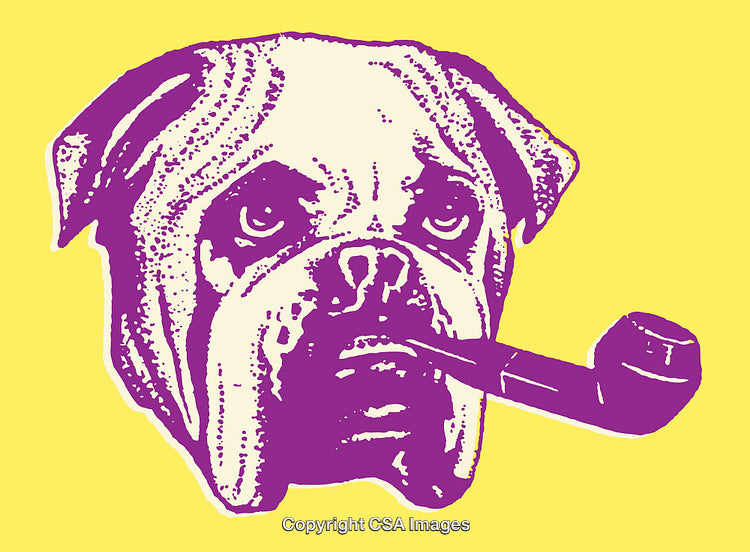 Colorful Line Art Illustration of a Dog with a Pipe on Yellow Background