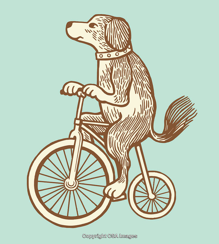 Vintage Illustration of a Dog Balancing on a Classic Bicycle