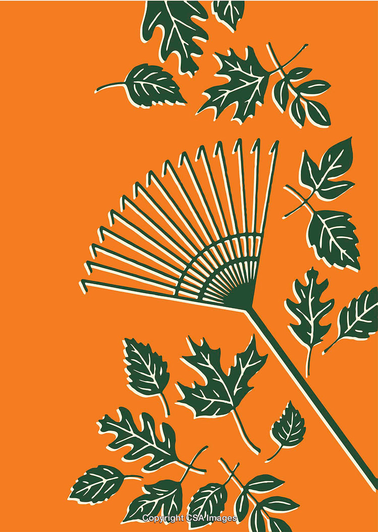 Illustration of Garden Rake and Leaves with Bold Orange Background Design