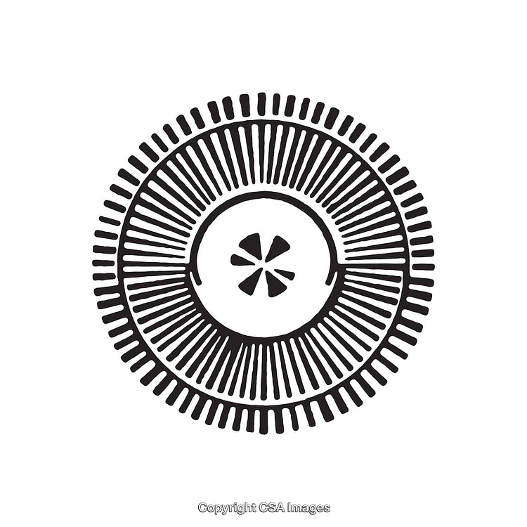 Black and White Circular Graphic Design with Radiating Lines and Center Detail